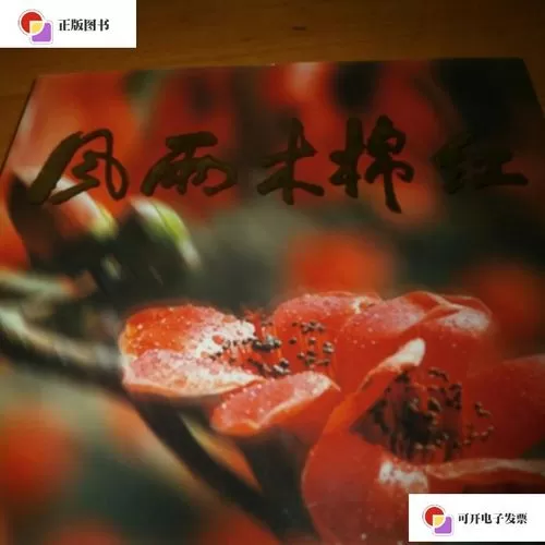 长沙幸运星广告公司(幸运星广告公司董事长)